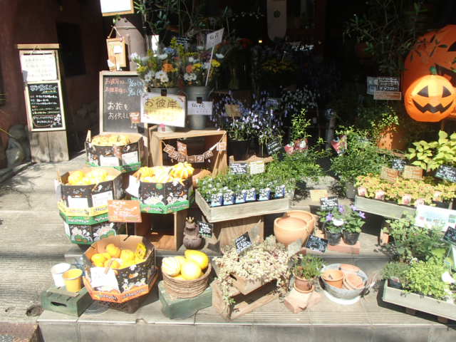 小竹向原に気になるお店 ハウステーション江古田店